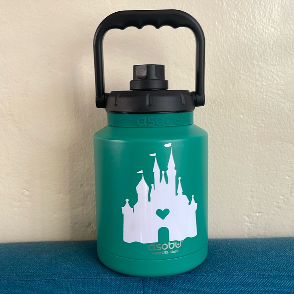 NEW Asobu stainless insulated water bottle